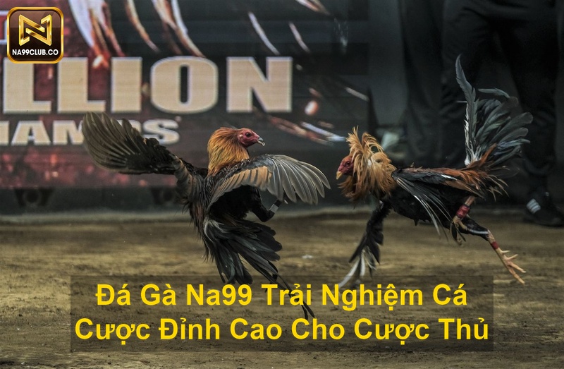 Đá Gà Na99 Trải Nghiệm Cá Cược Đỉnh Cao Cho Cược Thủ