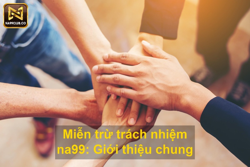 Miễn trừ trách nhiệm na99 Giới thiệu chung