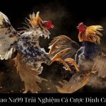 Đá Gà Cựa Dao Na99 Trải Nghiệm Cá Cược Đỉnh Cao Hoàn Hảo