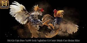 Đá Gà Tre Na99 Trải Nghiệm Cá Cược Đỉnh Cao Độc Quyền