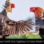 Đá Gà Thomo Na99 Trải Nghiệm Cá Cược Đỉnh Cao Thượng