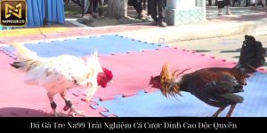 Đá Gà Cựa Dao Na99 Trải Nghiệm Cá Cược Đỉnh Cao Hoàn Hảo