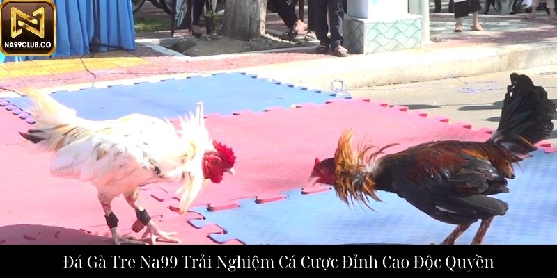 Đá Gà Tre Na99 Trải Nghiệm Cá Cược Đỉnh Cao Độc Quyền