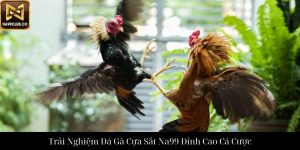 Đá Gà Tre Na99 Trải Nghiệm Cá Cược Đỉnh Cao Độc Quyền