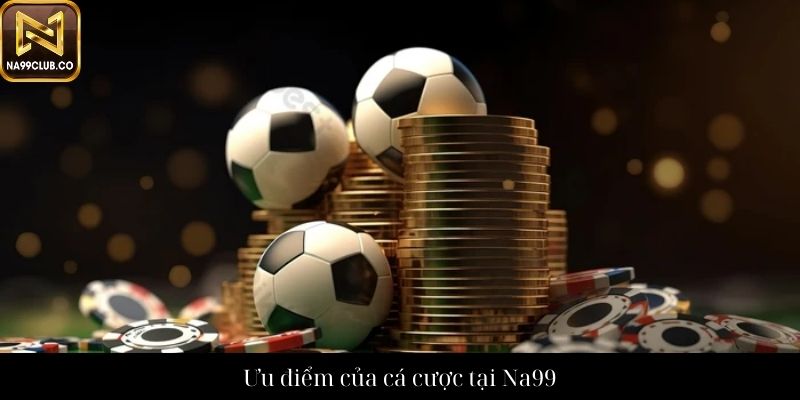 Ưu điểm của cá cược tại Na99