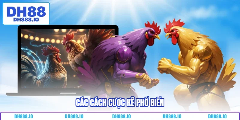 Các cách cược kê phổ biến