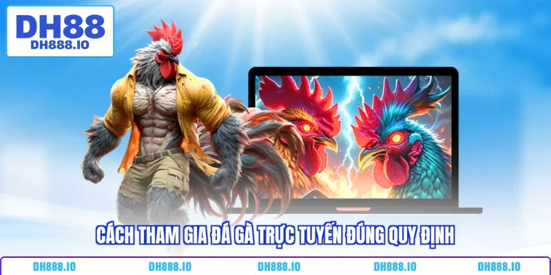 Cách tham gia đá gà trực tuyến đúng quy định