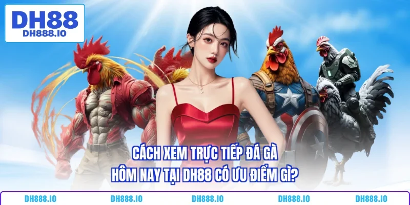Cách xem trực tiếp đá gà hôm nay tại DH88 có ưu điểm gì?