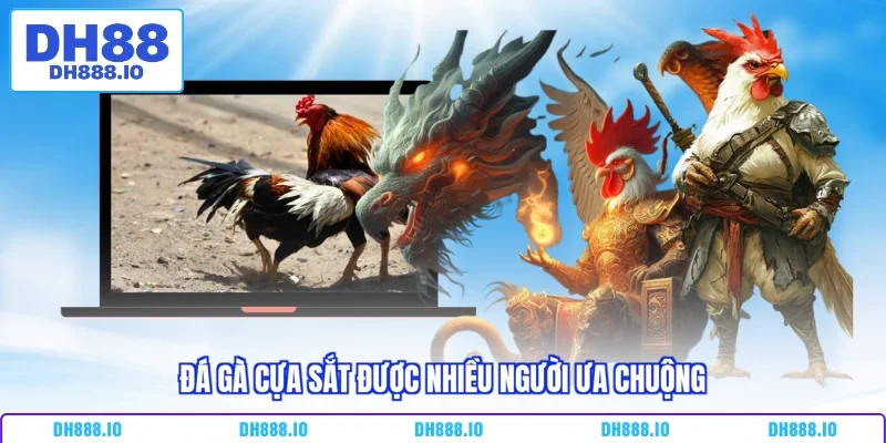 Đá gà cựa sắt được nhiều người ưa chuộng