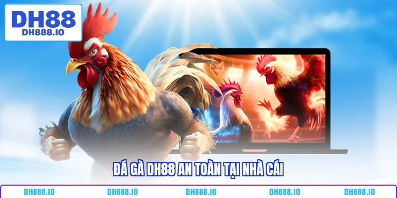 Đá gà DH88 an toàn tại nhà cái