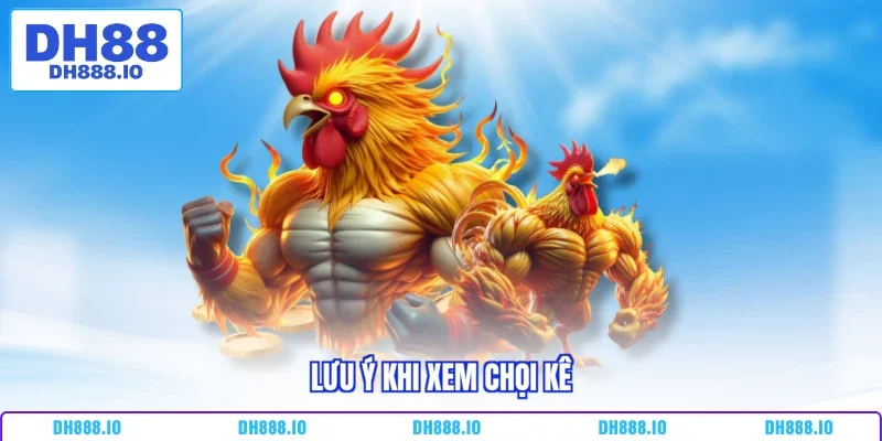 Lưu ý khi xem chọi kê 