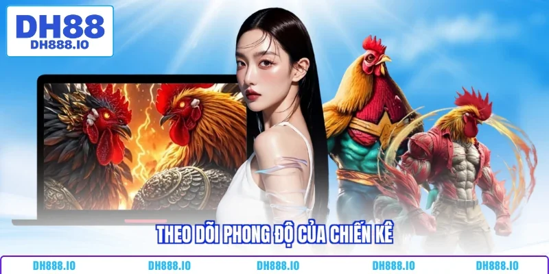 Theo dõi phong độ của chiến kê