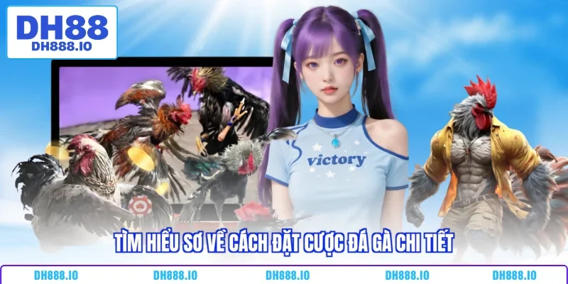 Tìm hiểu sơ về cách đặt cược đá gà chi tiết
